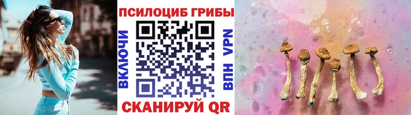 Галлюциногенные грибы Psilocybe  Купить  Полярные Зори 